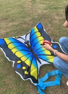 35 Inch Butterfly Kite Outdoor Toy Sport With String Tail