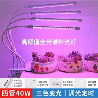 （分類：）位於 。 由 milky0731 提交（商品編號 1238990137，圖片 1）。簡介： 。