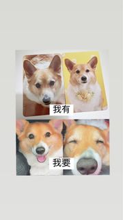 （分類：）位於 。 由 hei_106 提交（商品編號 1239007122，圖片 1）。簡介： 。