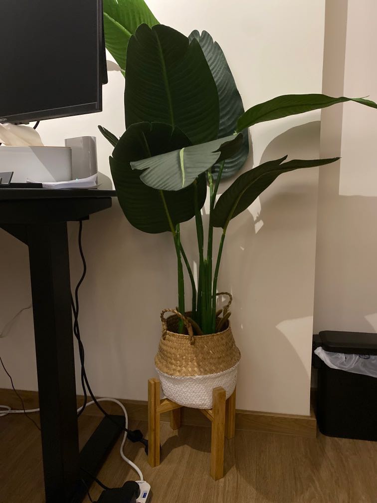 Artificial Plant with Stand, Furniture & Home Living, Home Decor