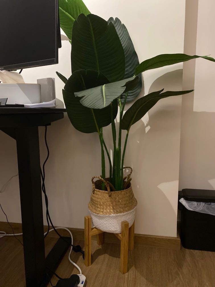 Artificial Plant with Stand, Furniture & Home Living, Home Decor