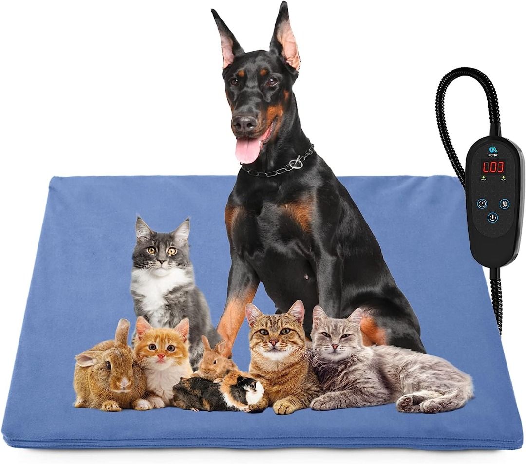 Electric dog on sale bed