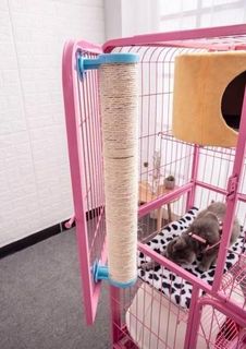 (Category: ) located in . Submitted by pawlobby (Listing ID 1239074982, Image 1). Description: .