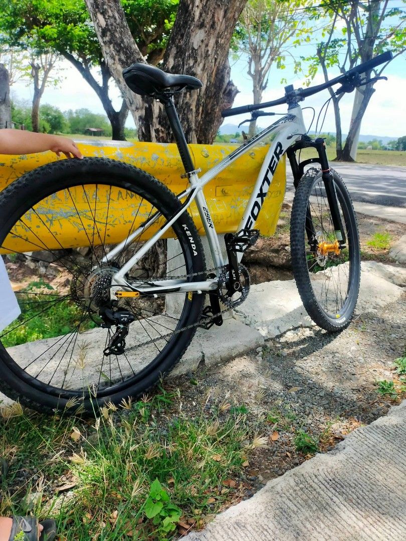 FOXTER 29ER GRAY mountain bike Sports Equipment Bicycles Parts