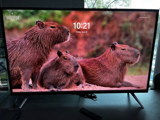 (Category: ) located in . Submitted by fared.othman (Listing ID 1238995213, Image 1). Description: .