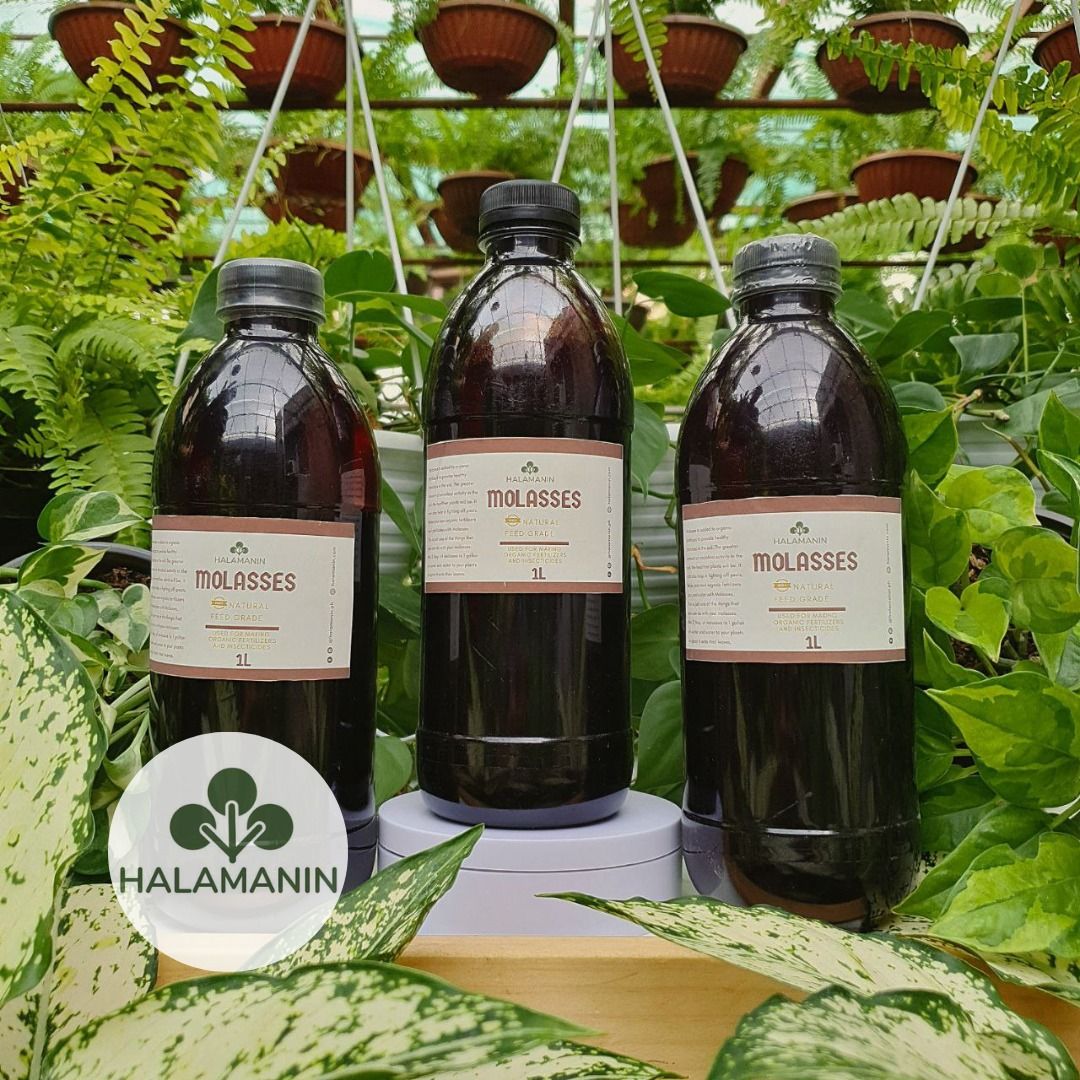 Halamanin's Blackstrap Molasses (Feed Grade) 1 Liter, Furniture