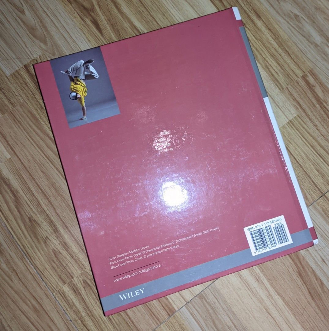 Introduction to the human body hard bound hobbies toys books