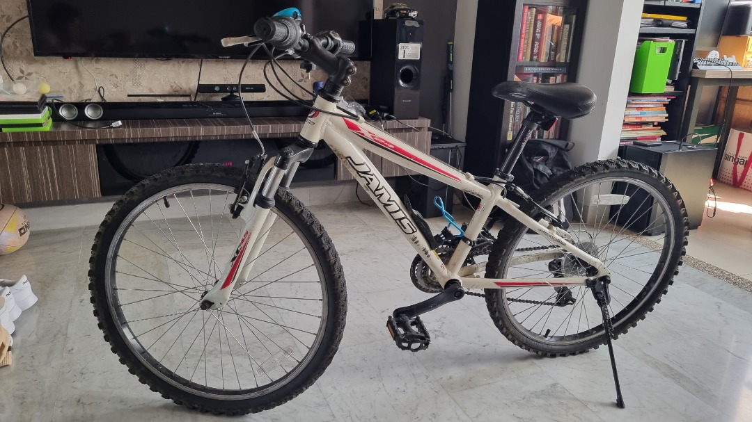 Jamis boys hotsell bike