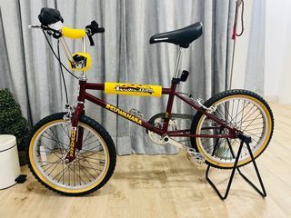 kuwahara survivor