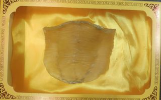 （分類：）位於 。 由 raja1ram 提交（商品編號 1239132147，圖片 1）。簡介： 。