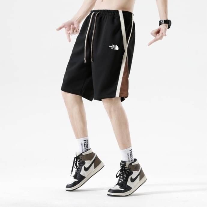 Mens shorts north face sales