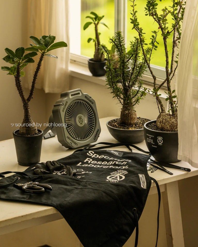 【SRL／NEIGHBORHOOD】 LIGHTING FAN 20 SRL . LIGHTING FAN 14, 20 // JUN.17 // ⁡ @srl_tokyo