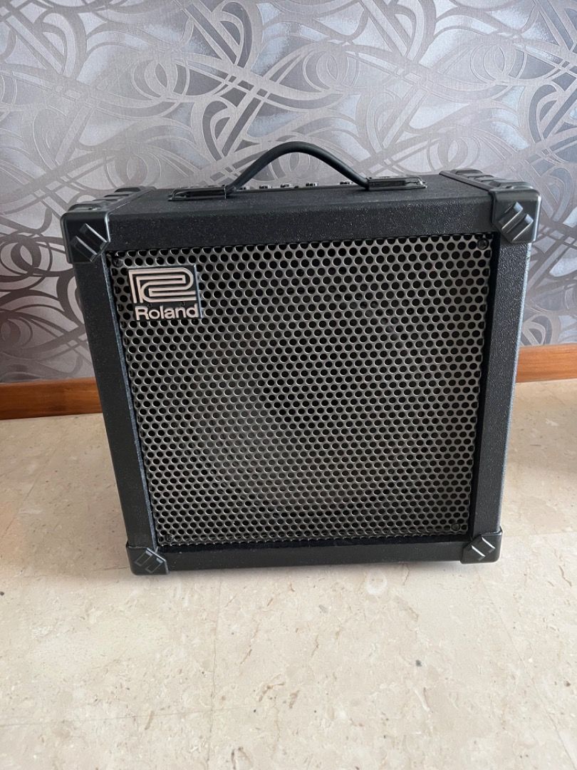 Roland cube 80x online for sale