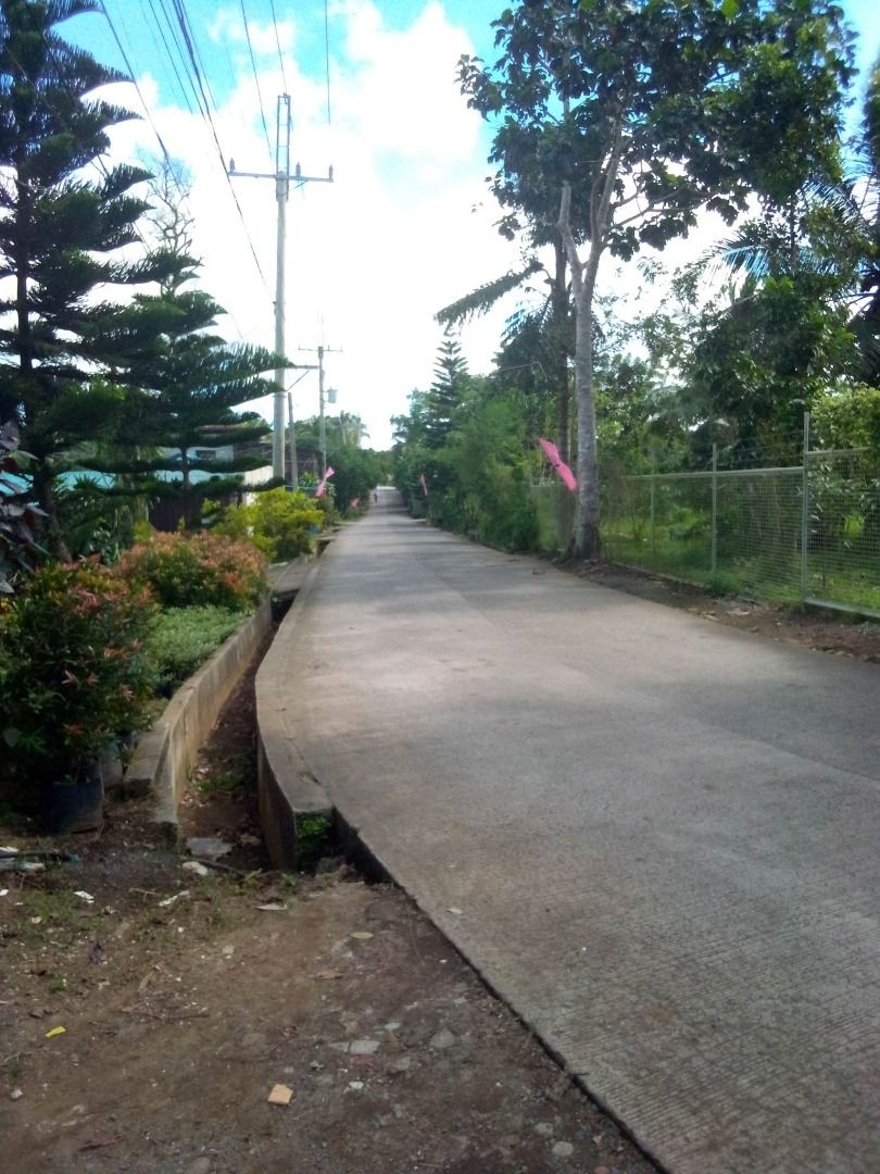 Rush Sale Silang Cavite House and lot with lot area of 500sqm P7