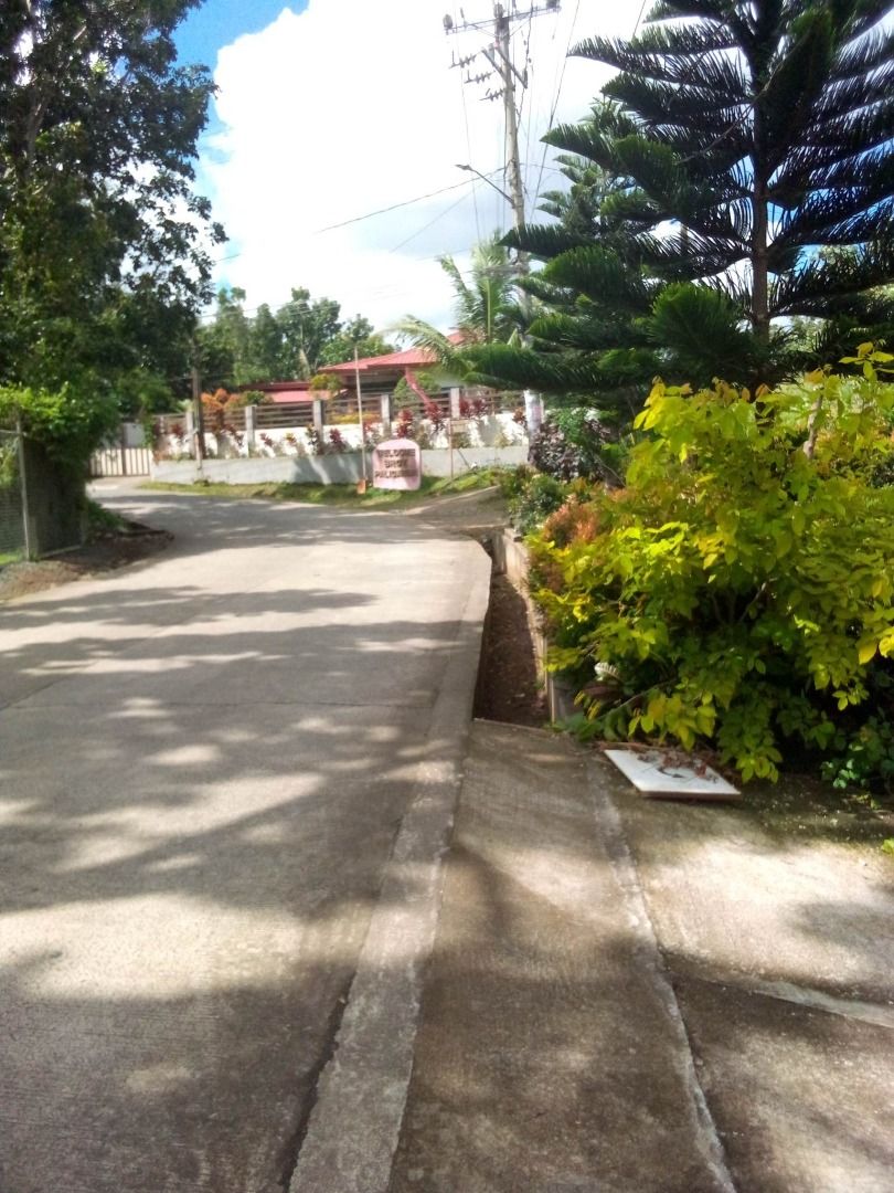 Rush Sale Silang Cavite House and lot with lot area of 500sqm P7