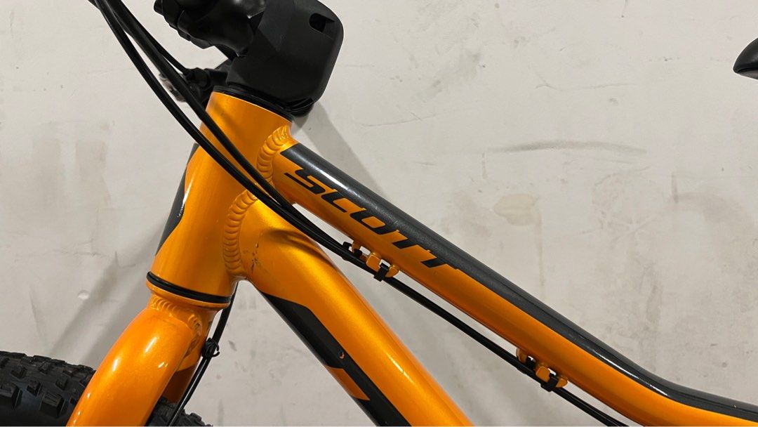 Scott scale 989 deals