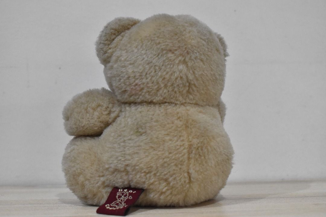 Teddy Bear from Bear Cuddler on Carousell