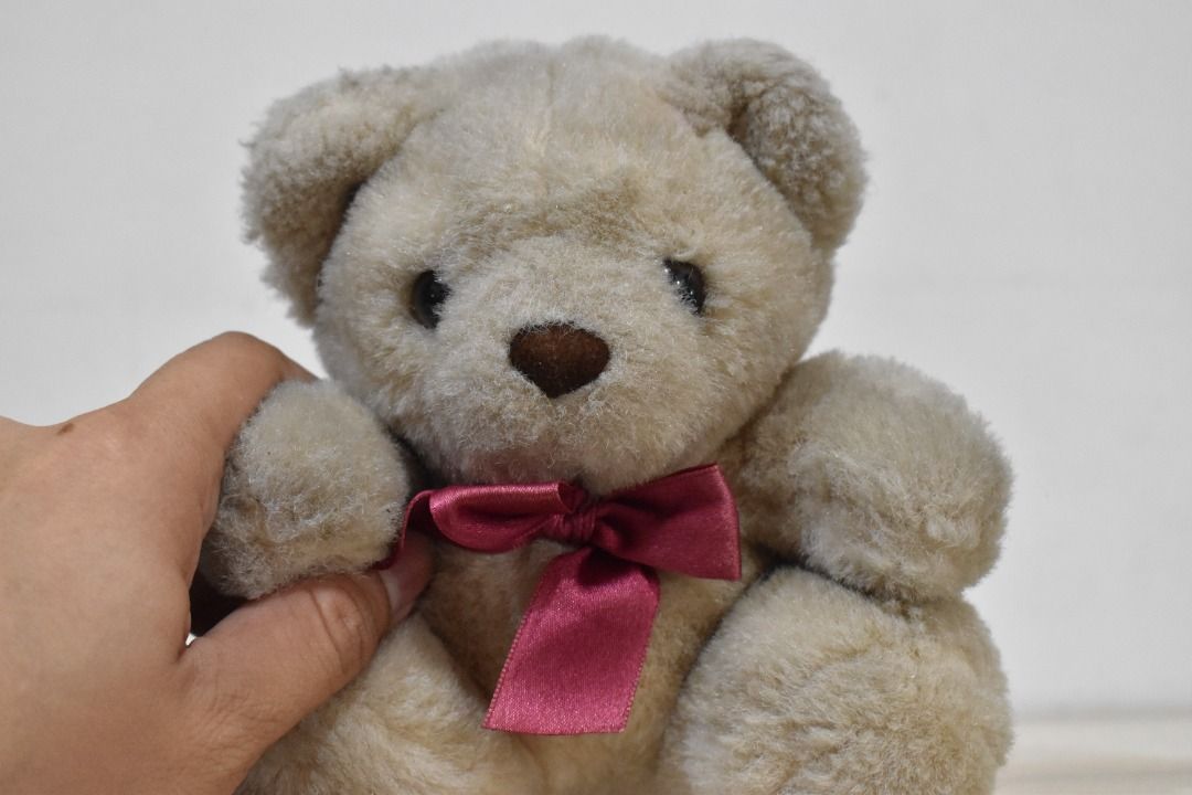 Teddy Bear from Bear Cuddler on Carousell