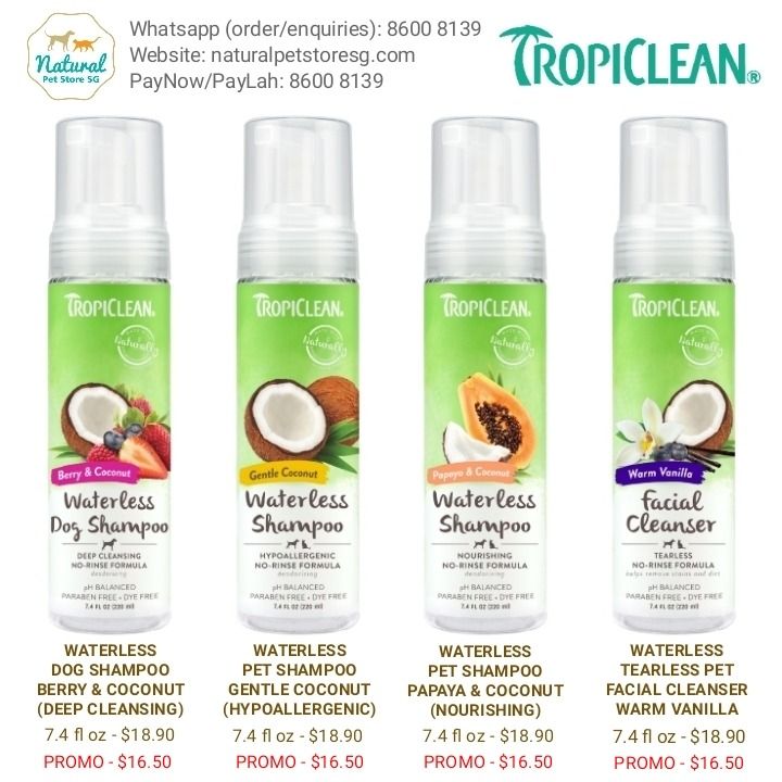 Tropiclean waterless dog on sale shampoo