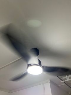 (Category: ) located in . Submitted by donrozarito (Listing ID 1239068320, Image 1). Description: .