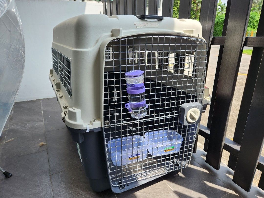 XL IATA approved dog crate from US, Pet Supplies, Homes & Other Pet