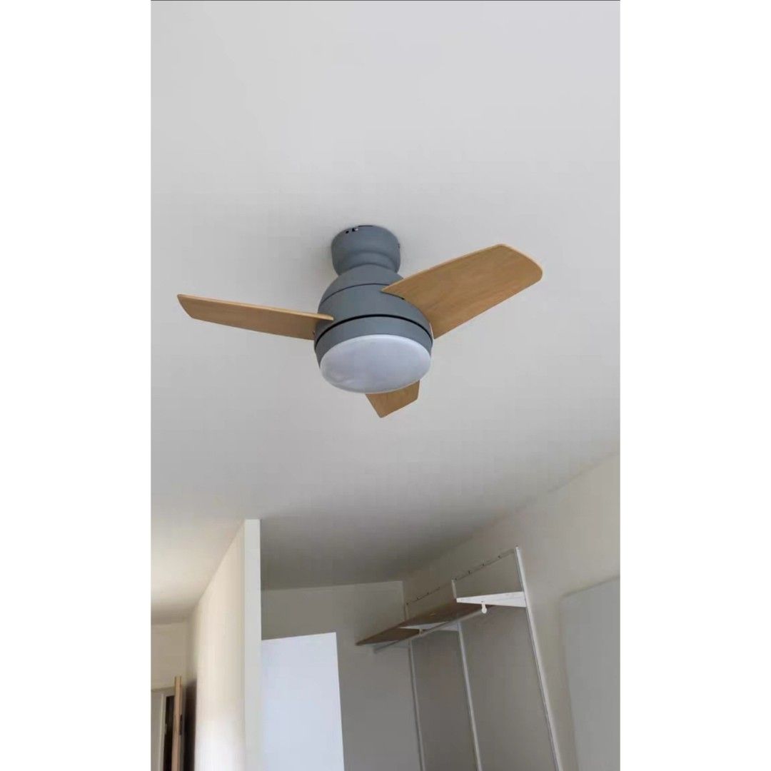 36 Inch Ceiling Fan With Lighting