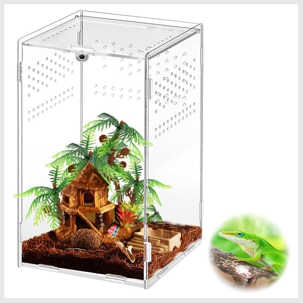 Mini deals reptile terrarium