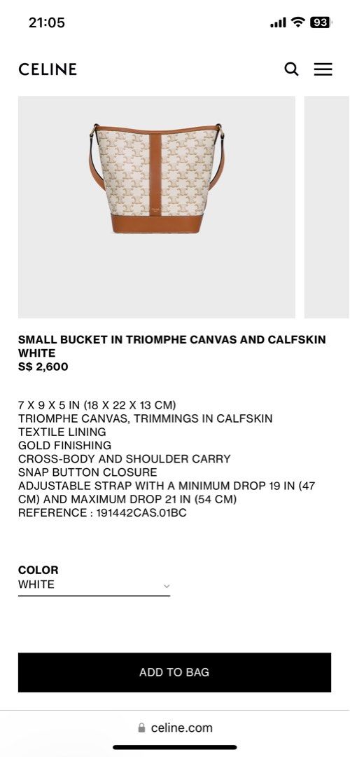 CELINE Triomphe Canvas Calfskin Small Bucket Bag White 1267706