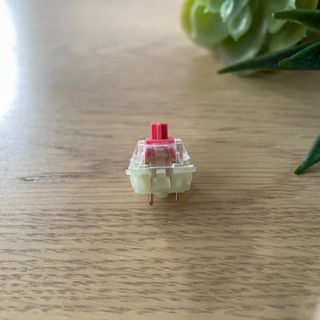 (Category: ) located in . Submitted by kkl.kwong (Listing ID 1239153930, Image 1). Description: .
