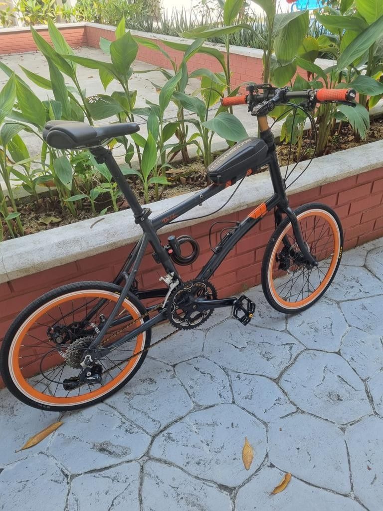 Dahon limited edition sales
