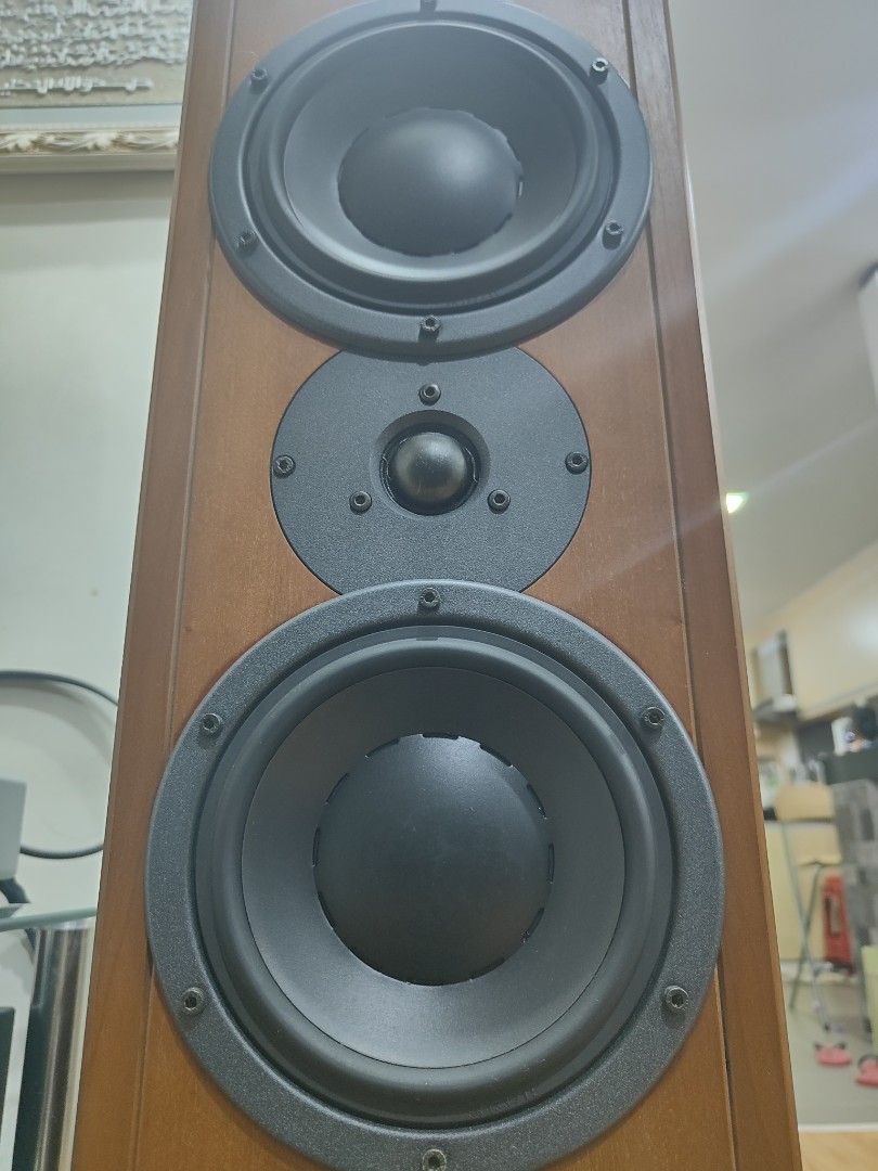 Dynaudio Contour T2.5 speaker