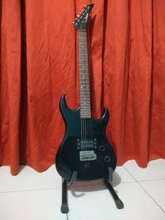 Electric Guitar/Bass