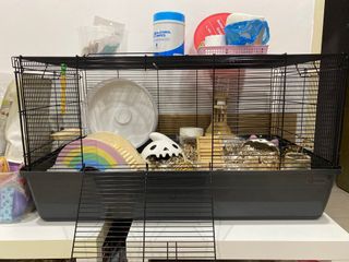 (Category: ) located in . Submitted by threebearr (Listing ID 1239310089, Image 1). Description: .