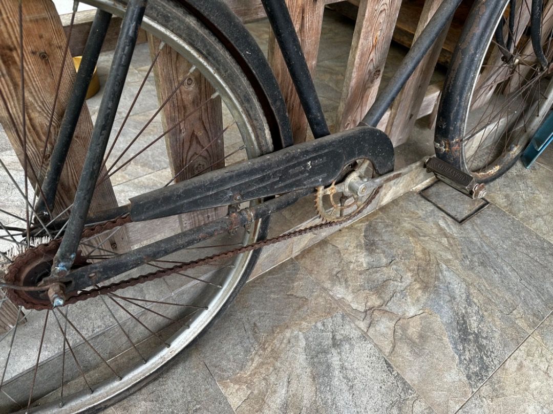 Hercules 28 inch discount cycle