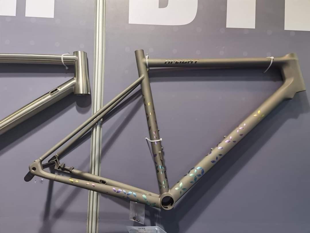 Titanium roadbike frame hi light R0 Litespeed Lynskey