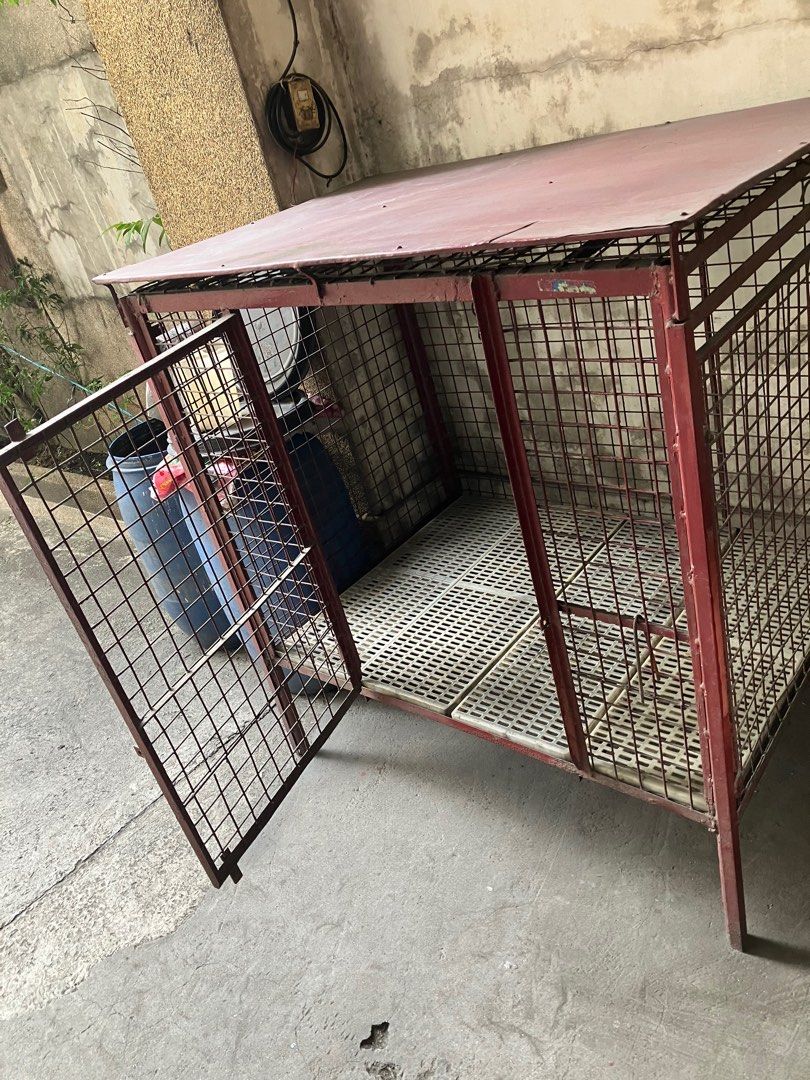 large-steel-dog-cage-heavy-duty-on-carousell