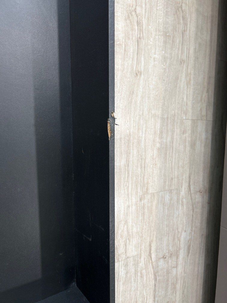 MALM UNDER BED STORAGE DRAWERS SET OF 2, Furniture & Home Living, Furniture, Bed Frames