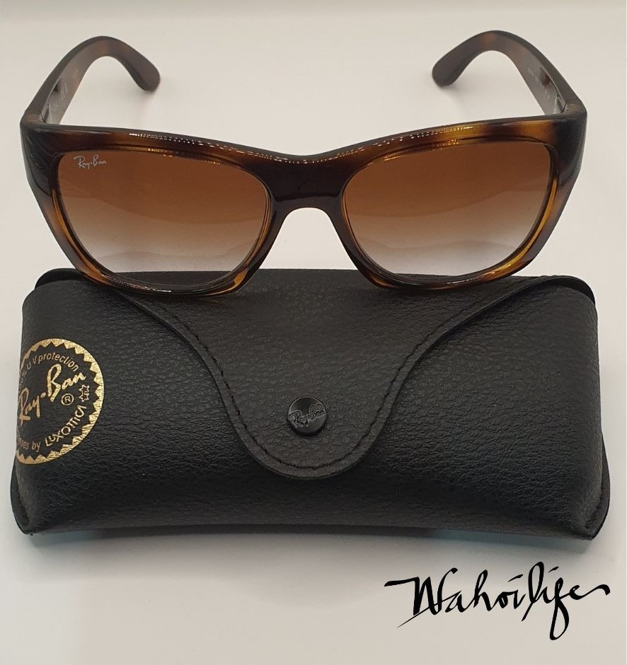 ray ban 4191