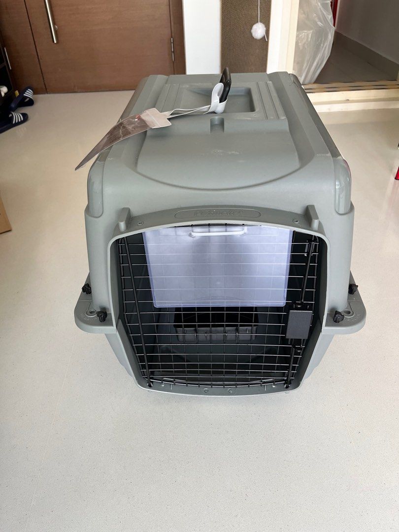 Petmate sky hot sale kennel medium