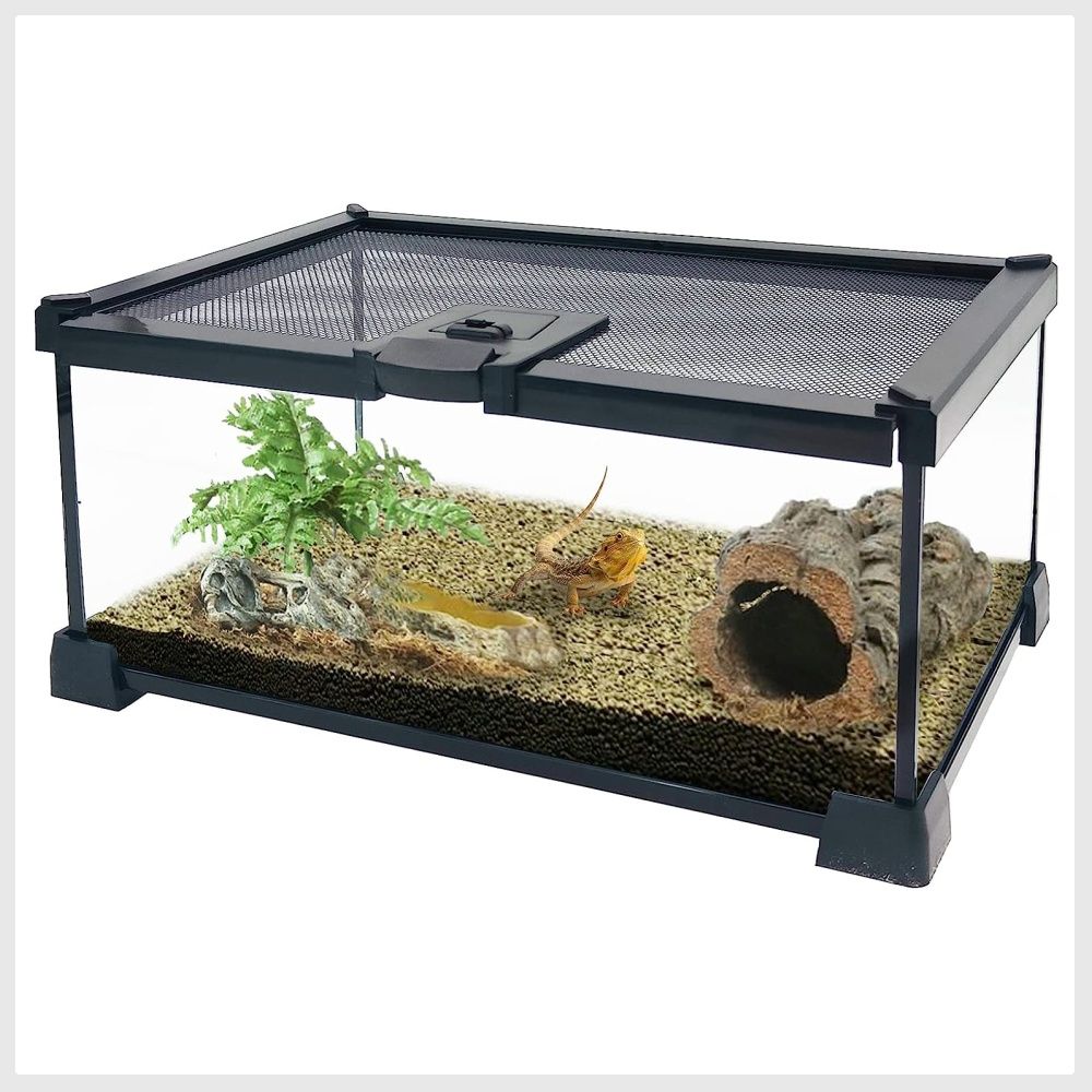 PINVNBY Mini Reptile Glass Terrarium Tank 12 x8 x6 Micro Habitat Terrarium Enclosure Amphibians Tank Cage Full View Visually Appealing for Small Reptiles Amphibians Spiders and Other Invertebrates 12x...