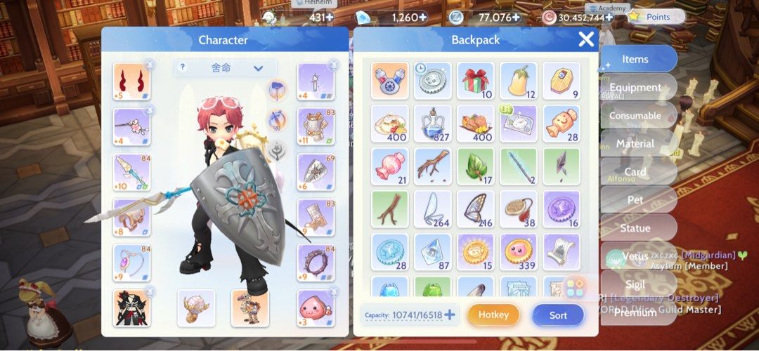 RAGNAROK Original Global Morroc 4 Account ROO, Video Gaming, Gaming ...