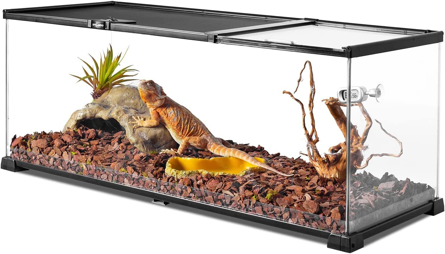 Hamster glass terrarium cheap