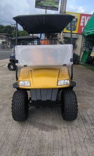 Texas Eagle 4-Seater Modified Raptor 48V. Electric Golf Cart