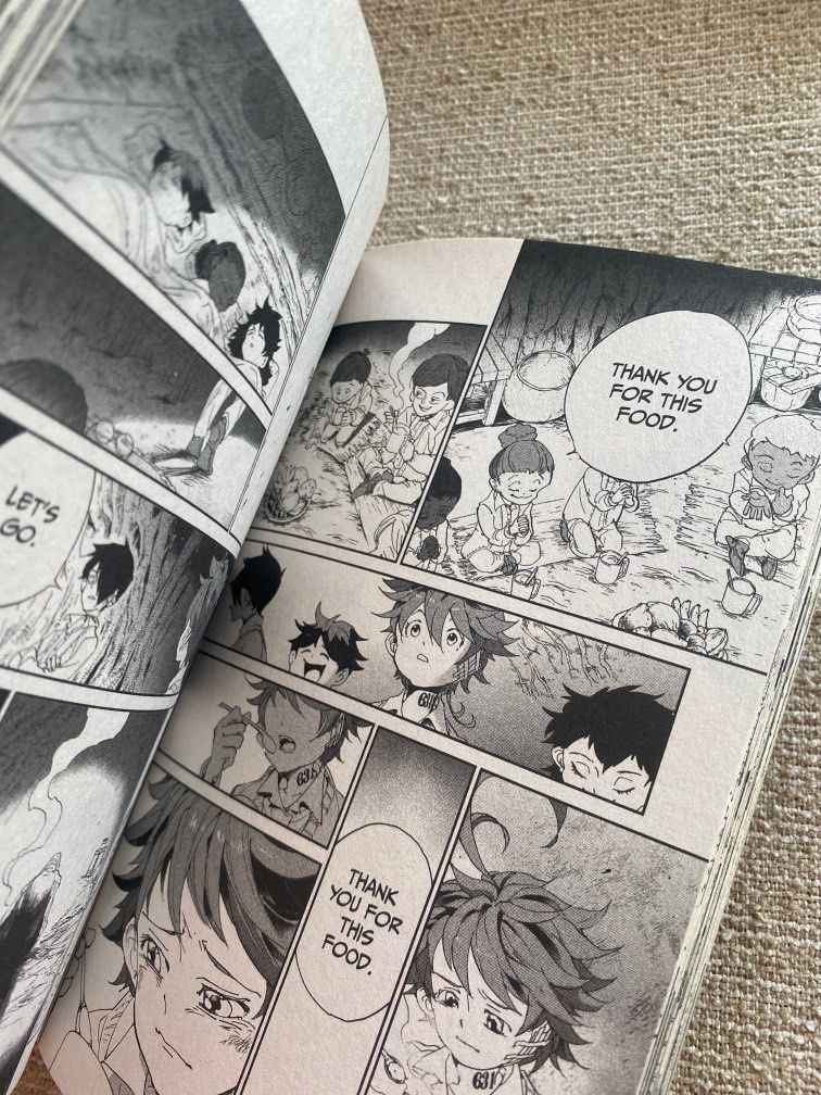 The Promised Neverland book 6, Hobbies & Toys, Books & Magazines