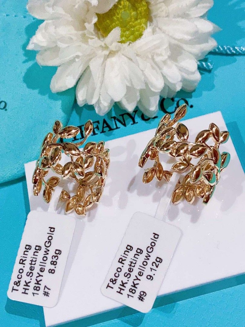 Tiffany shop climber earrings