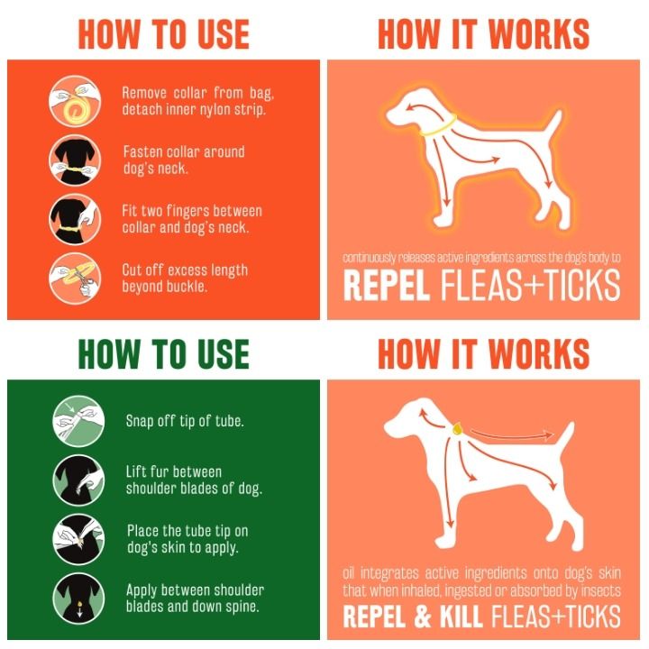 Tropiclean natural flea cheap and tick collar