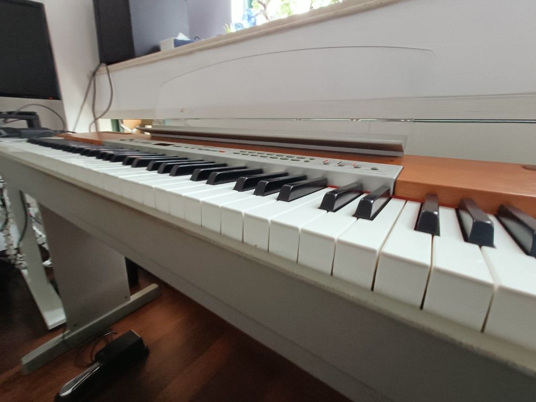 Yamaha Electric Piano P120, Hobbies & Toys, Music & Media, Musical