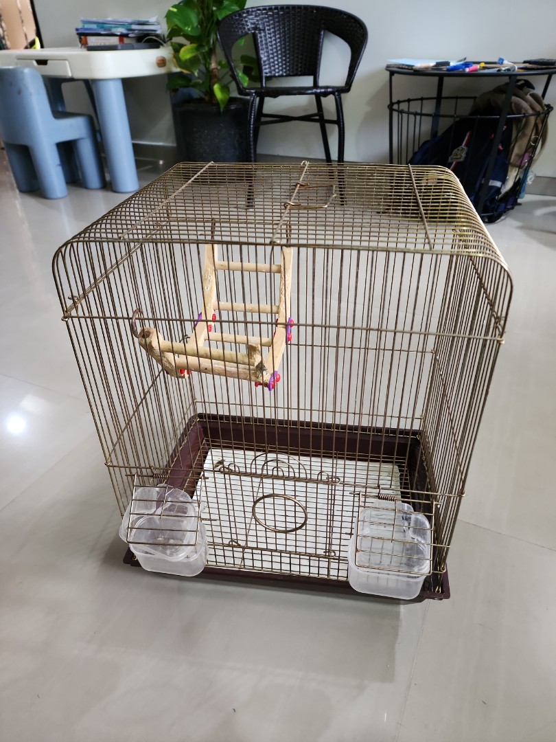 Bird cage, Pet Supplies, Homes & Other Pet Accessories on Carousell