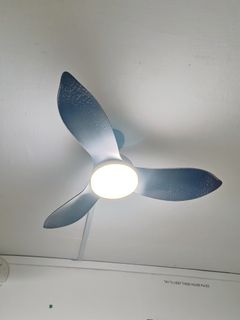 (Category: ) located in . Submitted by yourmovers (Listing ID 1239461165, Image 1). Description: .