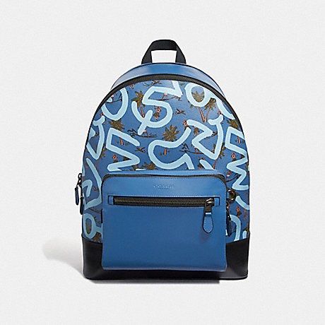 Coach keith hotsell haring backpack
